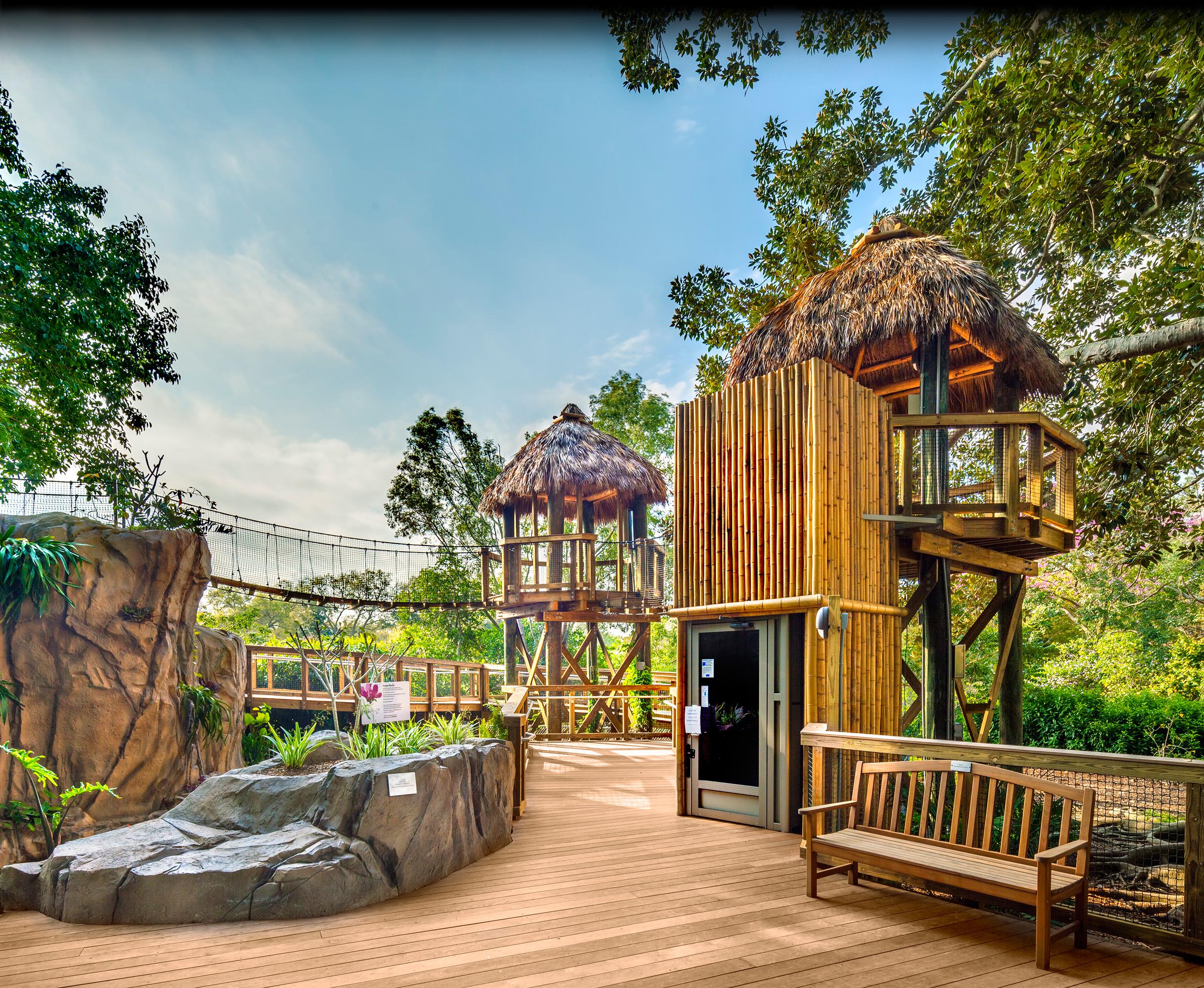 Ann Goldstein Children S Rainforest At Marie Selby Botanical Gardens Ann Goldstein Children S Rainforest At Marie Selby Botanical Gardens Tandem Construction