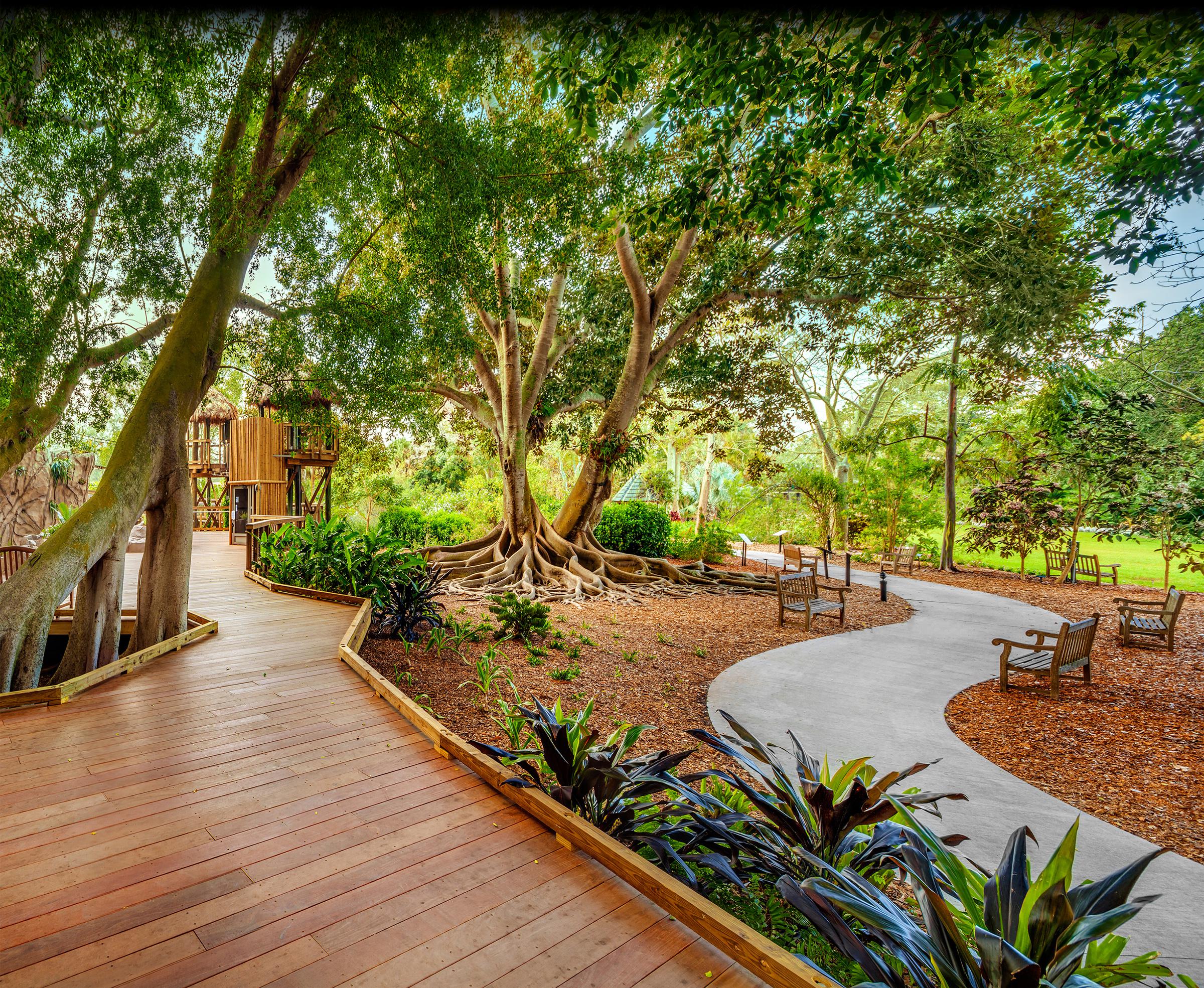 Ann Goldstein Children S Rainforest At Marie Selby Botanical